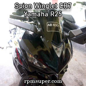 spion winglet r25